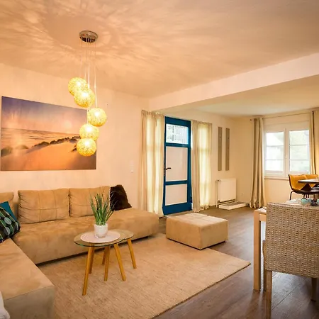 Kormoran Kranichflug * Prerow