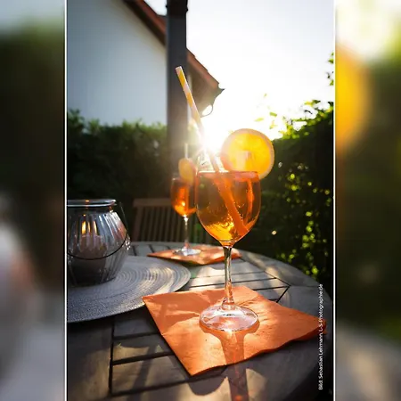 Kormoran Kranichflug Prerow